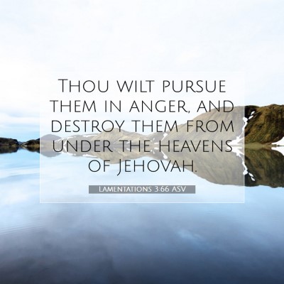 Picture 07 - Lamentations 3:66 ASV - Thou wilt pursue them in anger, and destroy them - Bible Verse Picture