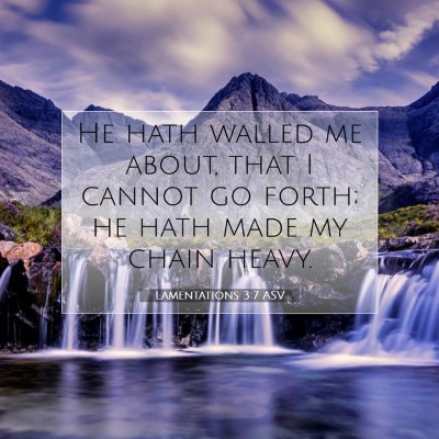 Picture 07 - Lamentations 3:7 ASV - He hath walled me about, that I cannot go forth; - Bible Verse Picture