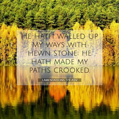Picture 07 - Lamentations 3:9 ASV - He hath walled up my ways with hewn stone; he - Bible Verse Picture