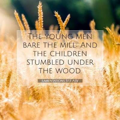Picture 07 - Lamentations 5:13 ASV - The young men bare the mill; And the children - Bible Verse Picture