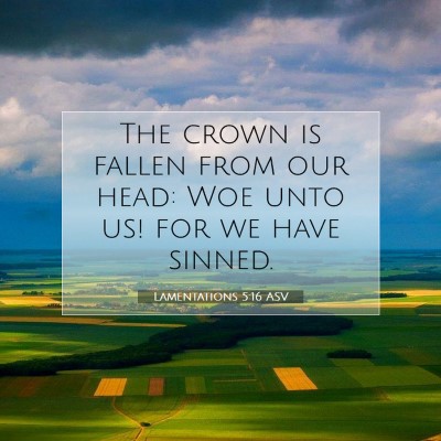Picture 07 - Lamentations 5:16 ASV - The crown is fallen from our head: Woe unto us! - Bible Verse Picture