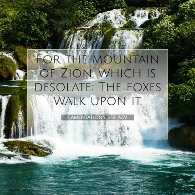 Picture 07 - Lamentations 5:18 ASV - For the mountain of Zion, which is desolate: The - Bible Verse Picture