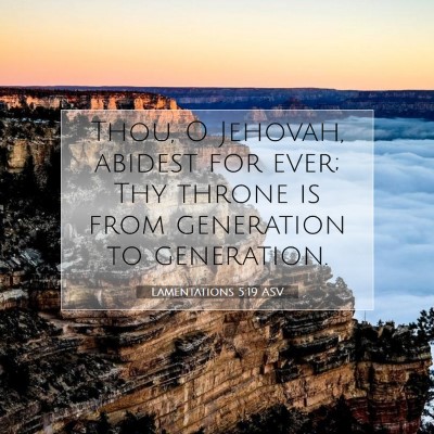 Picture 07 - Lamentations 5:19 ASV - Thou, O Jehovah, abidest for ever; Thy throne is - Bible Verse Picture