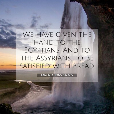 Picture 07 - Lamentations 5:6 ASV - We have given the hand to the Egyptians, And to - Bible Verse Picture