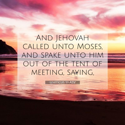 Picture 07 - Leviticus 1:1 ASV - And Jehovah called unto Moses, and spake unto him - Bible Verse Picture