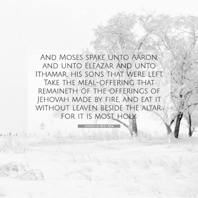 Picture 07 - Leviticus 10:12 ASV - And Moses spake unto Aaron, and unto Eleazar and - Bible Verse Picture