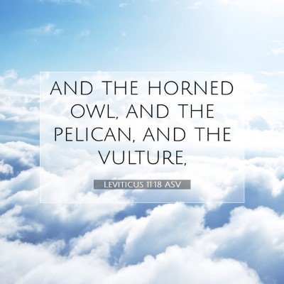Picture 07 - Leviticus 11:18 ASV - and the horned owl, and the pelican, and the - Bible Verse Picture