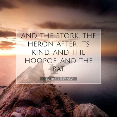 Picture 07 - Leviticus 11:19 ASV - and the stork, the heron after its kind, and the - Bible Verse Picture