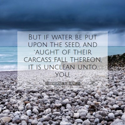 Picture 07 - Leviticus 11:38 ASV - But if water be put upon the seed, and `aught' of - Bible Verse Picture