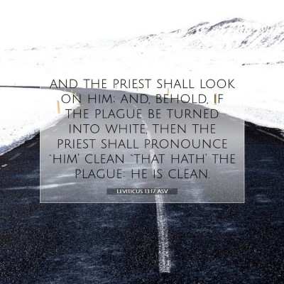 Picture 07 - Leviticus 13:17 ASV - and the priest shall look on him; and, behold, if - Bible Verse Picture