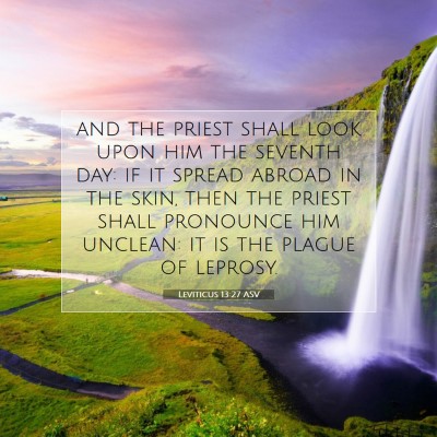 Picture 07 - Leviticus 13:27 ASV - and the priest shall look upon him the seventh - Bible Verse Picture