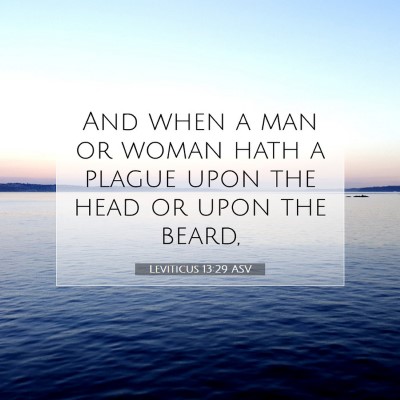 Picture 07 - Leviticus 13:29 ASV - And when a man or woman hath a plague upon the - Bible Verse Picture