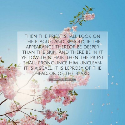 Picture 07 - Leviticus 13:30 ASV - then the priest shall look on the plague; and, - Bible Verse Picture