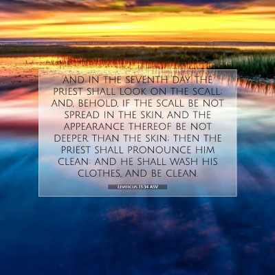 Picture 07 - Leviticus 13:34 ASV - and in the seventh day the priest shall look on - Bible Verse Picture