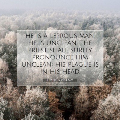 Picture 07 - Leviticus 13:44 ASV - he is a leprous man, he is unclean: the priest - Bible Verse Picture