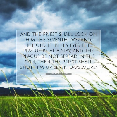 Picture 07 - Leviticus 13:5 ASV - and the priest shall look on him the seventh day: - Bible Verse Picture