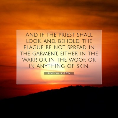 Picture 07 - Leviticus 13:53 ASV - And if the priest shall look, and, behold, the - Bible Verse Picture