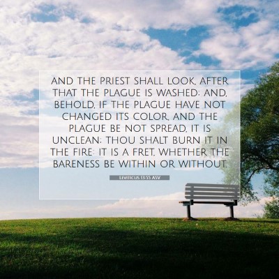 Picture 07 - Leviticus 13:55 ASV - and the priest shall look, after that the plague - Bible Verse Picture