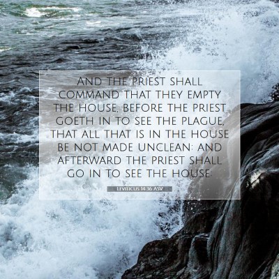 Picture 07 - Leviticus 14:36 ASV - And the priest shall command that they empty the - Bible Verse Picture