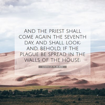 Picture 07 - Leviticus 14:39 ASV - And the priest shall come again the seventh day, - Bible Verse Picture