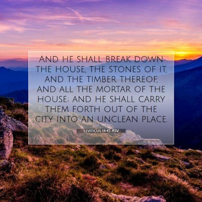 Picture 07 - Leviticus 14:45 ASV - And he shall break down the house, the stones of - Bible Verse Picture