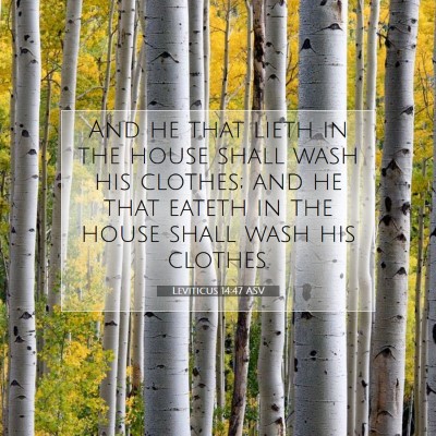 Picture 07 - Leviticus 14:47 ASV - And he that lieth in the house shall wash his - Bible Verse Picture