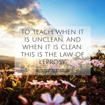 Picture 07 - Leviticus 14:57 ASV - to teach when it is unclean, and when it is - Bible Verse Picture