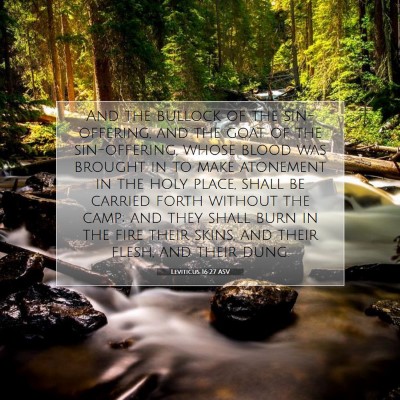 Picture 07 - Leviticus 16:27 ASV - And the bullock of the sin-offering, and the goat - Bible Verse Picture