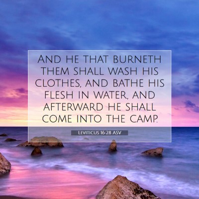 Picture 07 - Leviticus 16:28 ASV - And he that burneth them shall wash his clothes, - Bible Verse Picture