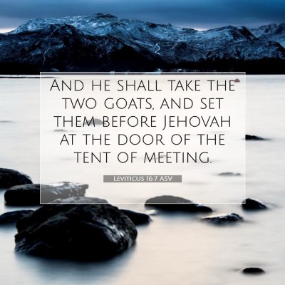 Picture 07 - Leviticus 16:7 ASV - And he shall take the two goats, and set them - Bible Verse Picture