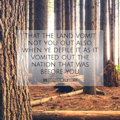 Picture 07 - Leviticus 18:28 ASV - that the land vomit not you out also, when ye - Bible Verse Picture