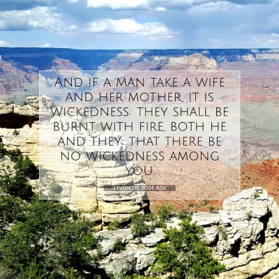Picture 07 - Leviticus 20:14 ASV - And if a man take a wife and her mother, it is - Bible Verse Picture