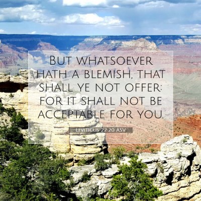 Picture 07 - Leviticus 22:20 ASV - But whatsoever hath a blemish, that shall ye not - Bible Verse Picture