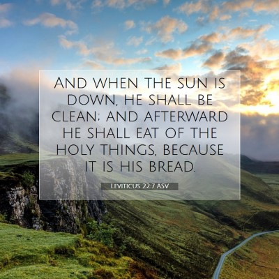Picture 07 - Leviticus 22:7 ASV - And when the sun is down, he shall be clean; and - Bible Verse Picture