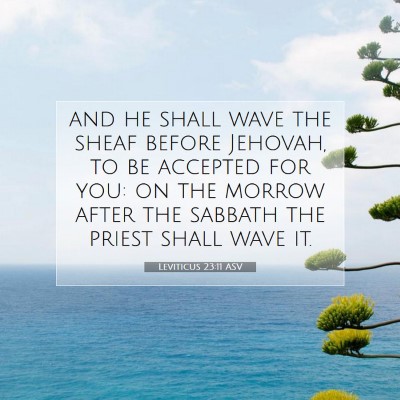 Picture 07 - Leviticus 23:11 ASV - and he shall wave the sheaf before Jehovah, to be - Bible Verse Picture