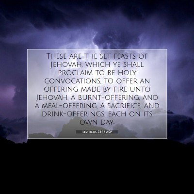 Picture 07 - Leviticus 23:37 ASV - These are the set feasts of Jehovah, which ye - Bible Verse Picture