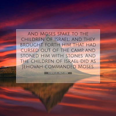 Picture 07 - Leviticus 24:23 ASV - And Moses spake to the children of Israel; and - Bible Verse Picture