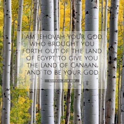 Picture 07 - Leviticus 25:38 ASV - I am Jehovah your God, who brought you forth out - Bible Verse Picture