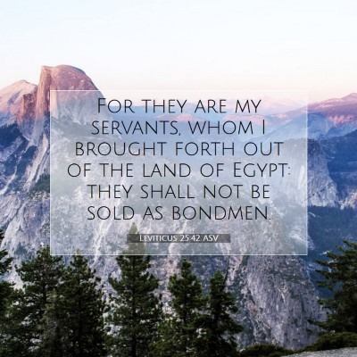 Picture 07 - Leviticus 25:42 ASV - For they are my servants, whom I brought forth - Bible Verse Picture