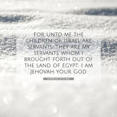Picture 07 - Leviticus 25:55 ASV - For unto me the children of Israel are servants; - Bible Verse Picture