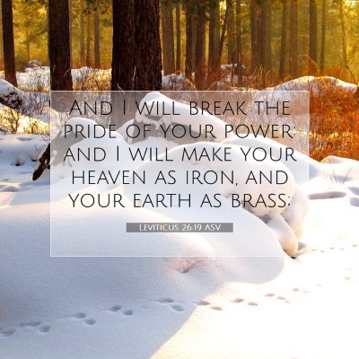 Picture 07 - Leviticus 26:19 ASV - And I will break the pride of your power: and I - Bible Verse Picture
