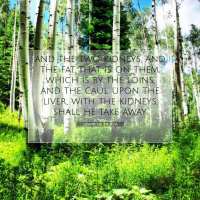 Picture 07 - Leviticus 3:4 ASV - and the two kidneys, and the fat that is on them, - Bible Verse Picture