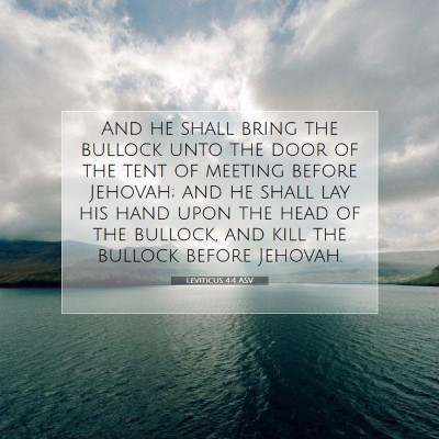Picture 07 - Leviticus 4:4 ASV - And he shall bring the bullock unto the door of - Bible Verse Picture