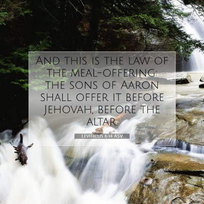 Picture 07 - Leviticus 6:14 ASV - And this is the law of the meal-offering: the - Bible Verse Picture