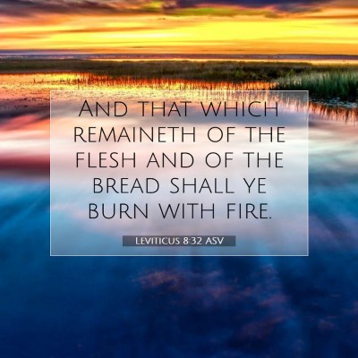 Picture 07 - Leviticus 8:32 ASV - And that which remaineth of the flesh and of the - Bible Verse Picture