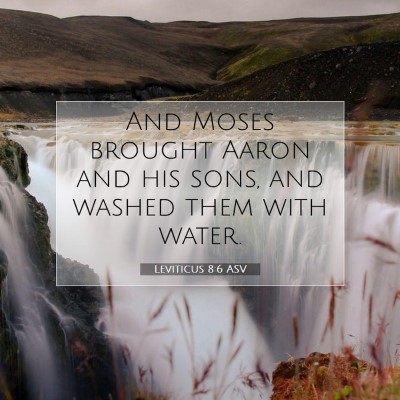 Picture 07 - Leviticus 8:6 ASV - And Moses brought Aaron and his sons, and washed - Bible Verse Picture
