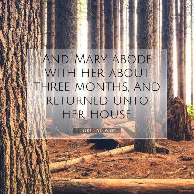 Picture 07 - Luke 1:56 ASV - And Mary abode with her about three months, and - Bible Verse Picture