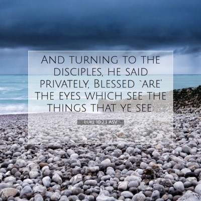 Picture 07 - Luke 10:23 ASV - And turning to the disciples, he said privately, - Bible Verse Picture