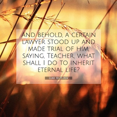 Picture 07 - Luke 10:25 ASV - And behold, a certain lawyer stood up and made - Bible Verse Picture