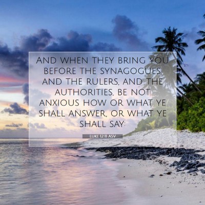 Picture 07 - Luke 12:11 ASV - And when they bring you before the synagogues, - Bible Verse Picture
